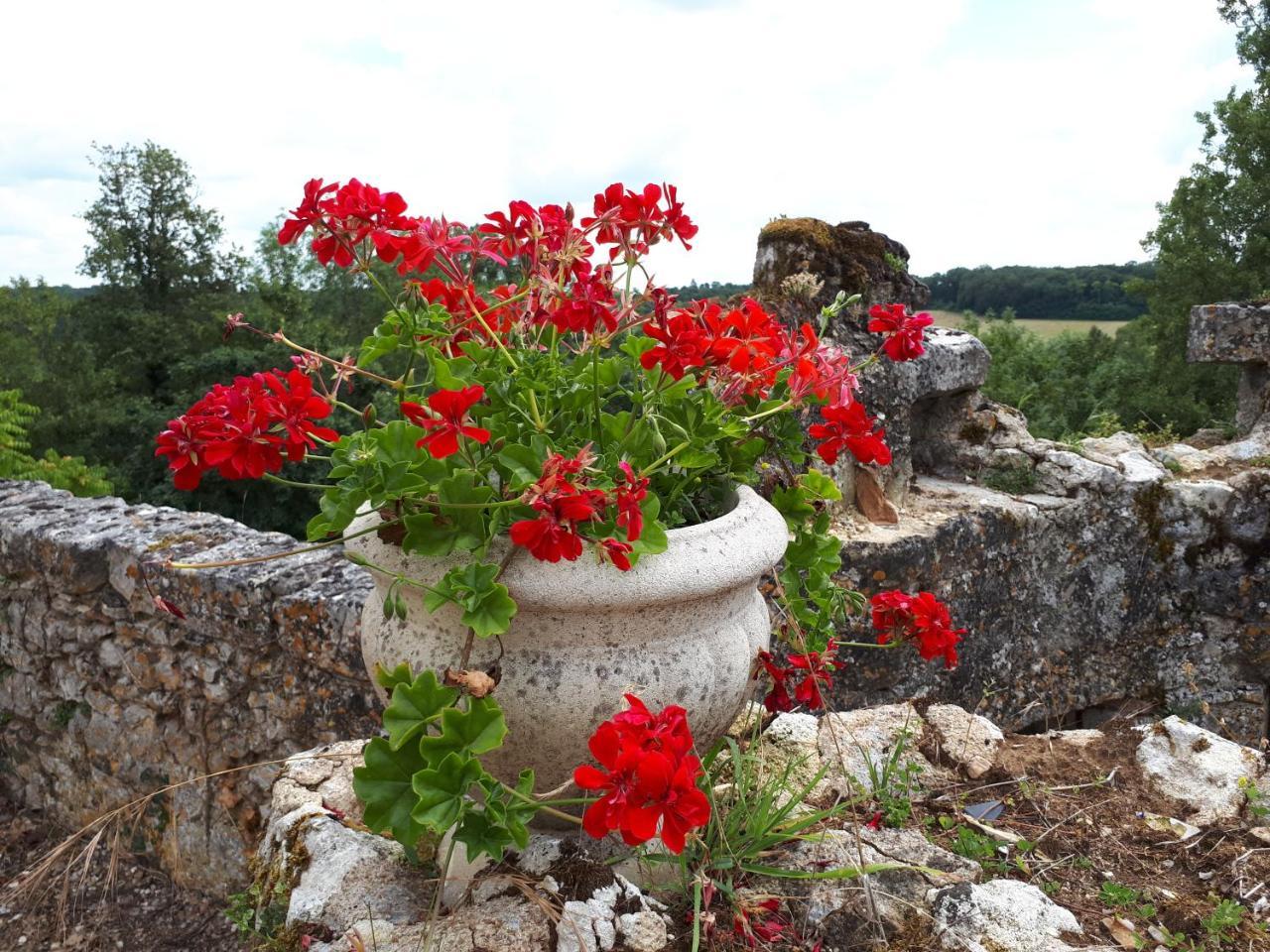 Bed & Breakfast Du Cerf Thibault